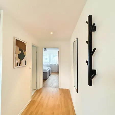 Basilisk Homes - In Bei Basel - 4 X Moderne Fewos Je 1bis2, 1bis4 Oder 1bis6 Pers Mit Kueche Und Balkon Oder Terrasse - Parkplaetze Vorhanden