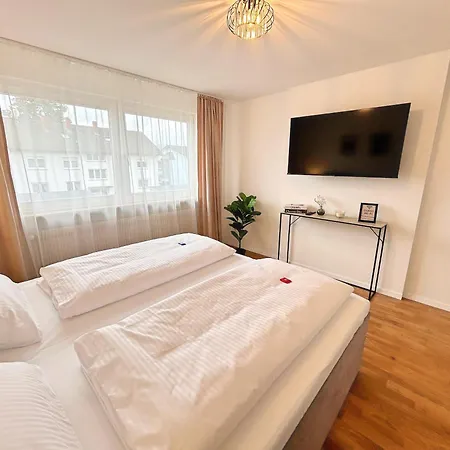 Basilisk Homes - In Bei Basel - 4 X Moderne Fewos Je 1bis2, 1bis4 Oder 1bis6 Pers Mit Kueche Und Balkon Oder Terrasse - Parkplaetze Vorhanden Apartment