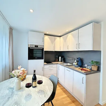 Basilisk Homes - In Bei Basel - 4 X Moderne Fewos Je 1bis2, 1bis4 Oder 1bis6 Pers Mit Kueche Und Balkon Oder Terrasse - Parkplaetze Vorhanden *