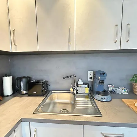 Basilisk Homes - In Bei Basel - 4 X Moderne Fewos Je 1bis2, 1bis4 Oder 1bis6 Pers Mit Kueche Und Balkon Oder Terrasse - Parkplaetze Vorhanden Daire *