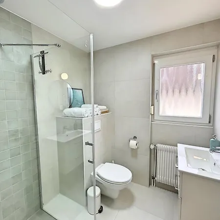 Apartment Basilisk Homes - In Bei Basel - 4 X Moderne Fewos Je 1bis2, 1bis4 Oder 1bis6 Pers Mit Kueche Und Balkon Oder Terrasse - Parkplaetze Vorhanden *