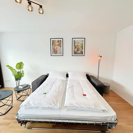 Basilisk Homes - In Bei Basel - 4 X Moderne Fewos Je 1bis2, 1bis4 Oder 1bis6 Pers Mit Kueche Und Balkon Oder Terrasse - Parkplaetze Vorhanden Apartment *