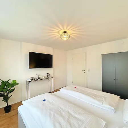 Daire Basilisk Homes - In Bei Basel - 4 X Moderne Fewos Je 1bis2, 1bis4 Oder 1bis6 Pers Mit Kueche Und Balkon Oder Terrasse - Parkplaetze Vorhanden Grenzach-Wyhlen
