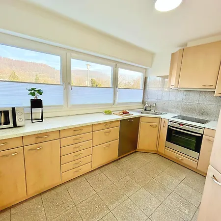 Basilisk Homes - In Bei Basel - 4 X Moderne Fewos Je 1bis2, 1bis4 Oder 1bis6 Pers Mit Kueche Und Balkon Oder Terrasse - Parkplaetze Vorhanden *