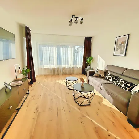 Apartment Basilisk Homes - In Bei Basel - 4 X Moderne Fewos Je 1bis2, 1bis4 Oder 1bis6 Pers Mit Kueche Und Balkon Oder Terrasse - Parkplaetze Vorhanden