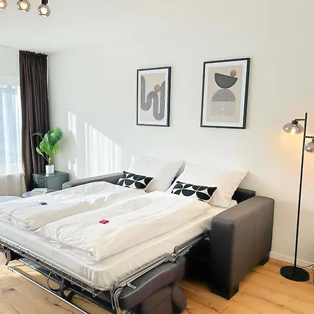Daire Basilisk Homes - In Bei Basel - 4 X Moderne Fewos Je 1bis2, 1bis4 Oder 1bis6 Pers Mit Kueche Und Balkon Oder Terrasse - Parkplaetze Vorhanden