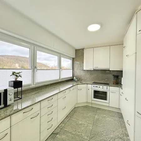 Apartment Basilisk Homes - In Bei Basel - 4 X Moderne Fewos Je 1bis2, 1bis4 Oder 1bis6 Pers Mit Kueche Und Balkon Oder Terrasse - Parkplaetze Vorhanden