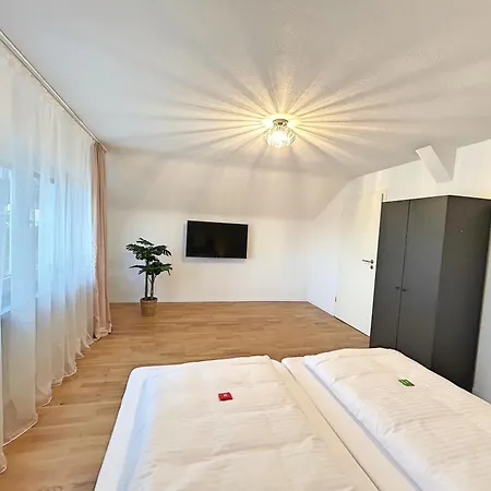 Basilisk Homes - In Bei Basel - 4 X Moderne Fewos Je 1bis2, 1bis4 Oder 1bis6 Pers Mit Kueche Und Balkon Oder Terrasse - Parkplaetze Vorhanden