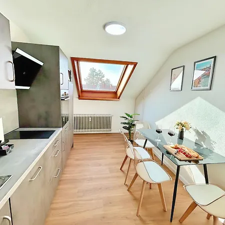 Daire Basilisk Homes - In Bei Basel - 4 X Moderne Fewos Je 1bis2, 1bis4 Oder 1bis6 Pers Mit Kueche Und Balkon Oder Terrasse - Parkplaetze Vorhanden Grenzach-Wyhlen