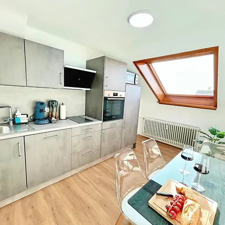 Basilisk Homes - In Bei Basel - 4 X Moderne Fewos Je 1bis2, 1bis4 Oder 1bis6 Pers Mit Kueche Und Balkon Oder Terrasse - Parkplaetze Vorhanden *